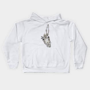 Happy Donkey Kids Hoodie